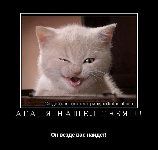 Котоматрица: АГА, Я нашел тебя!!! Он везде вас найдет!