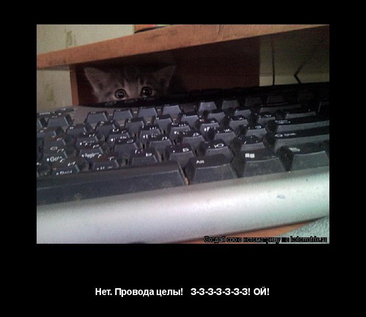 Котоматрица: Компоосмотр. Нет. Провода целы!   З-З-З-З-З-З-З! ОЙ!