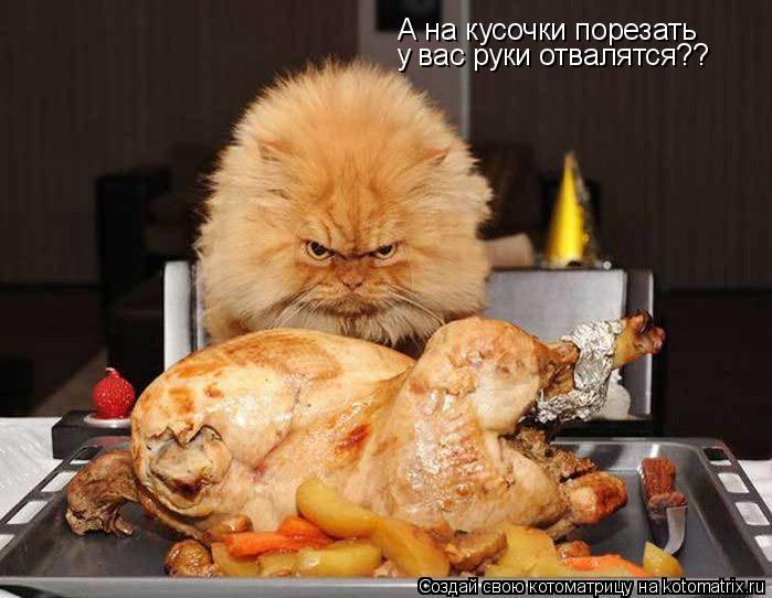 Котоматрица: А на кусочки порезать  у вас руки отвалятся??