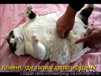 Котоматрица: Клиент, где талию делать будем?
