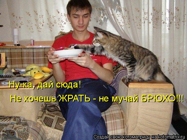 Котоматрица: Ну-ка, дай сюда!  Не хочешь ЖРАТЬ - не мучай БРЮХО!!!