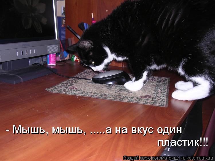 - Мышь, мышь, .....а на вкус один пластик!!!... Котоматрица: - Мышь, мышь, .....а на вкус один пластик!!!