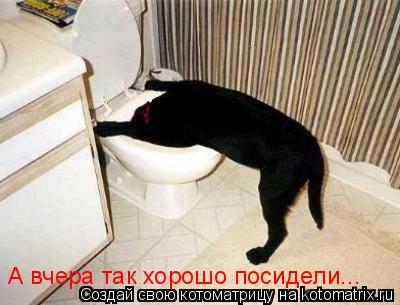 Котоматрица: А вчера так хорошо посидели...