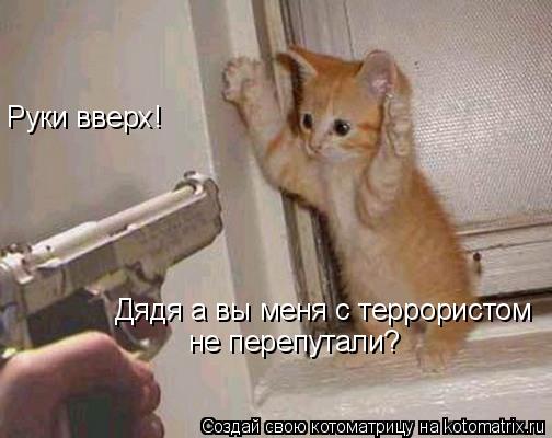 Котоматрица: Руки вверх! Дядя а вы меня с террористом не перепутали?