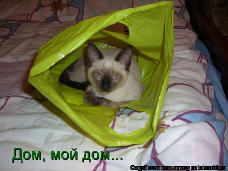 Котоматрица: Дом, мой дом...