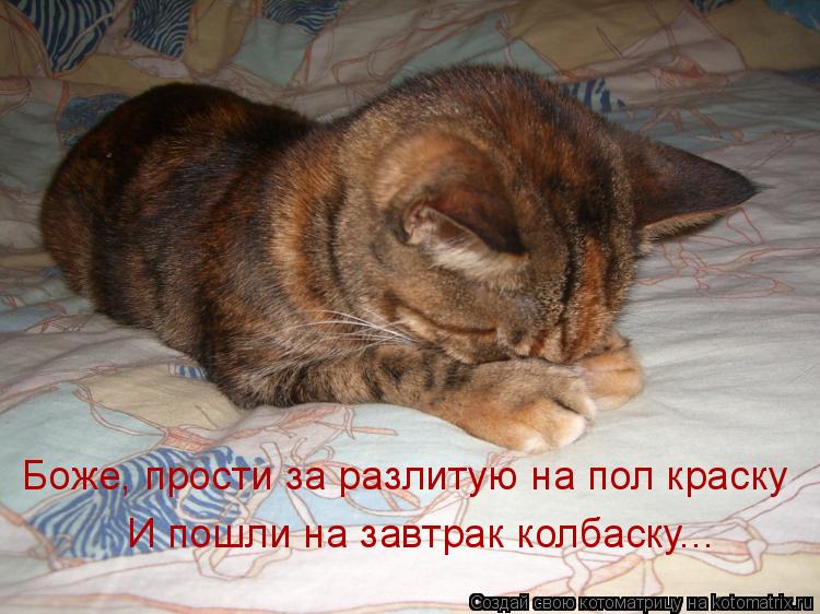Котоматрица: Боже, прости за разлитую на пол краску И пошли на завтрак колбаску...