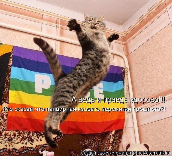 Котоматрица: А ведь и правда здорово!!! Кто сказал что панцирная кровать пережитки прошлого?!