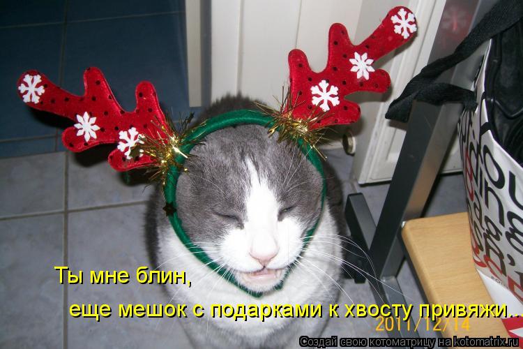 Котоматрица: Ты мне блин, еще мешок с подарками к хвосту привяжи...