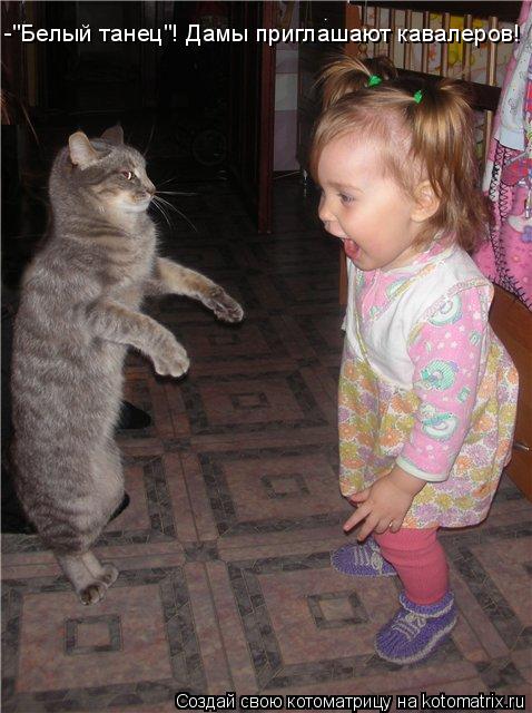 Котоматрица: -"Белый танец"! Дамы приглашают кавалеров!