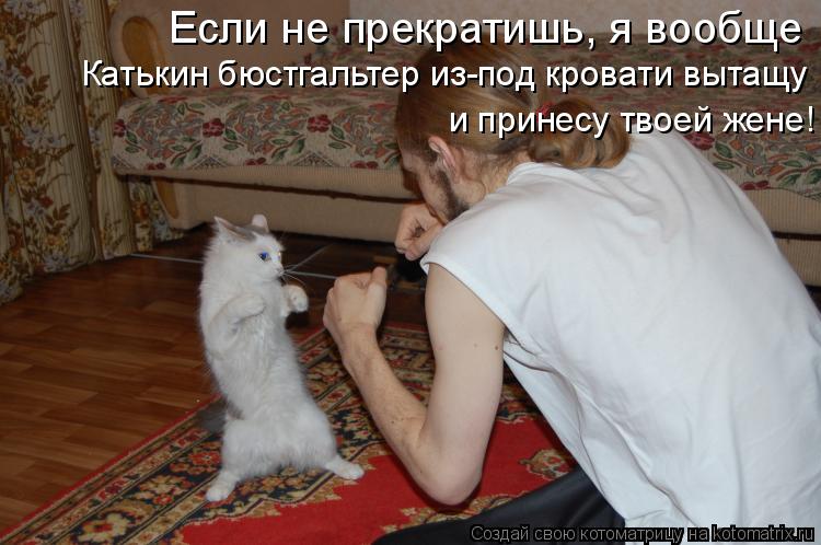 Котоматрица: Если не прекратишь, я вообще  Катькин бюстгальтер из-под кровати вытащу и принесу твоей жене!