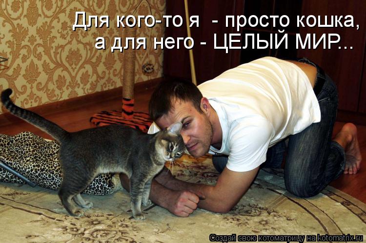 Котоматрица: Для кого-то я  - просто кошка,  а для него - ЦЕЛЫЙ МИР...