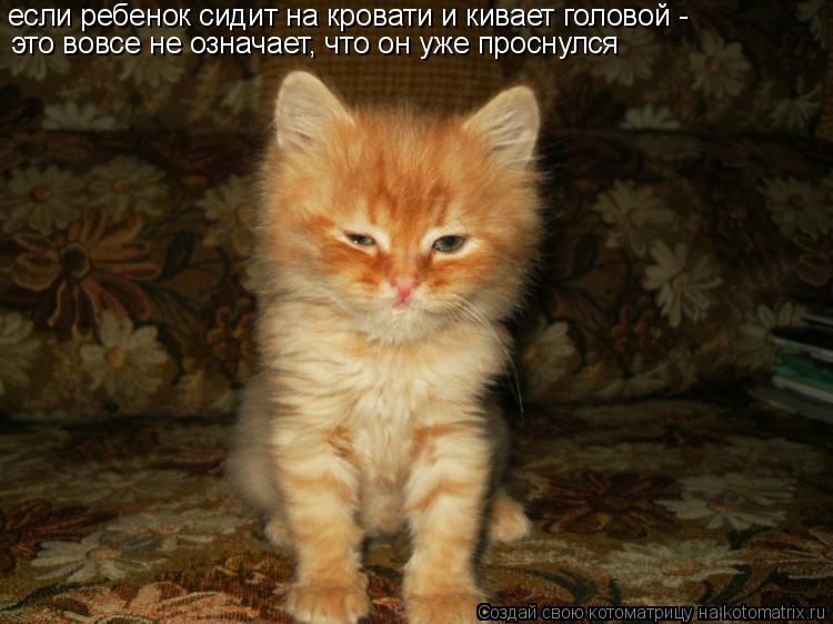Котоматрица: если ребенок сидит на кровати и кивает головой -  это вовсе не означает, что он уже проснулся