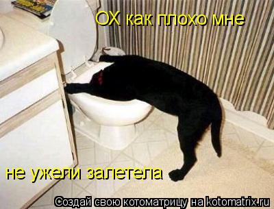 Котоматрица: ОХ как плохо мне не ужели залетела