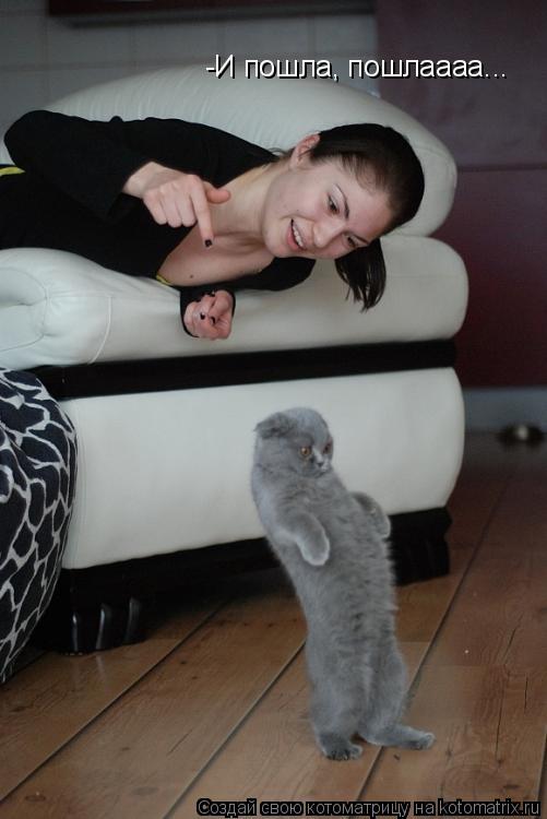 Котоматрица: -И пошла, пошлаааа...