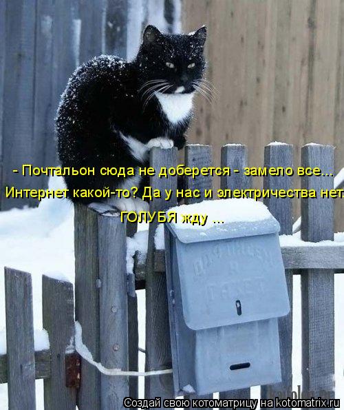 Котоматрица: - Почтальон сюда не доберется - замело все... Интернет какой-то? Да у нас и электричества нет... ГОЛУБЯ жду ...