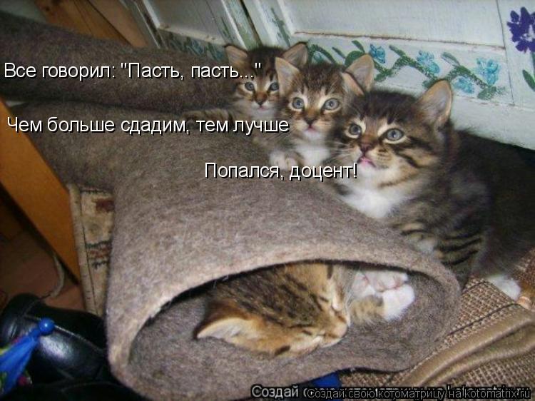 Котоматрица: Чем больше сдадим, тем лучше Все говорил: "Пасть, пасть..." Попался, доцент!