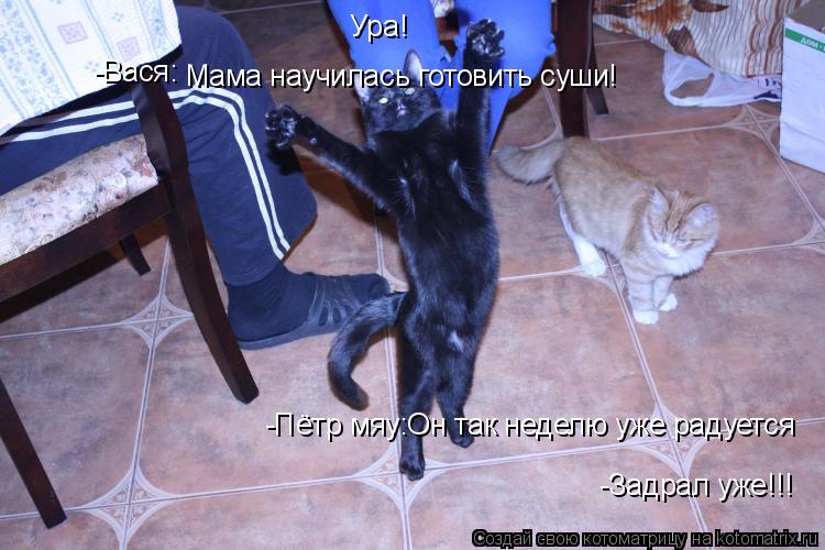 Котоматрица: Ура! Мама научилась готовить суши! -Вася: -Пётр мяу:Он так неделю уже радуется -Задрал уже!!!