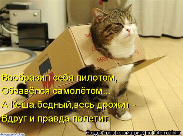 Вообразил себя пилотом, А Кеша,бедный,весь дрожит - Вдруг и правда полетит. Обзавёлся самолётом...... Котоматрица: Вообразил себя пилотом, А Кеша,бедный,весь дрожит - Вдруг и правда полетит. Обзавёлся самолётом...