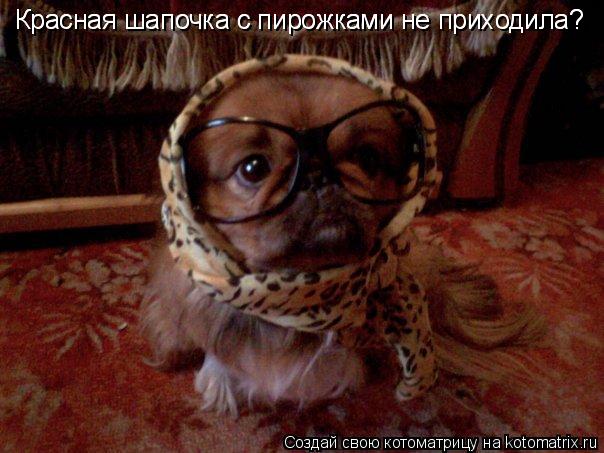 Котоматрица: Красная шапочка с пирожками не приходила? Красная шапочка с пирожками не приходила?