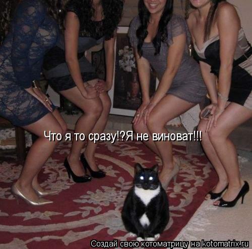 Котоматрица: Что я то сразу!?Я не виноват!!!