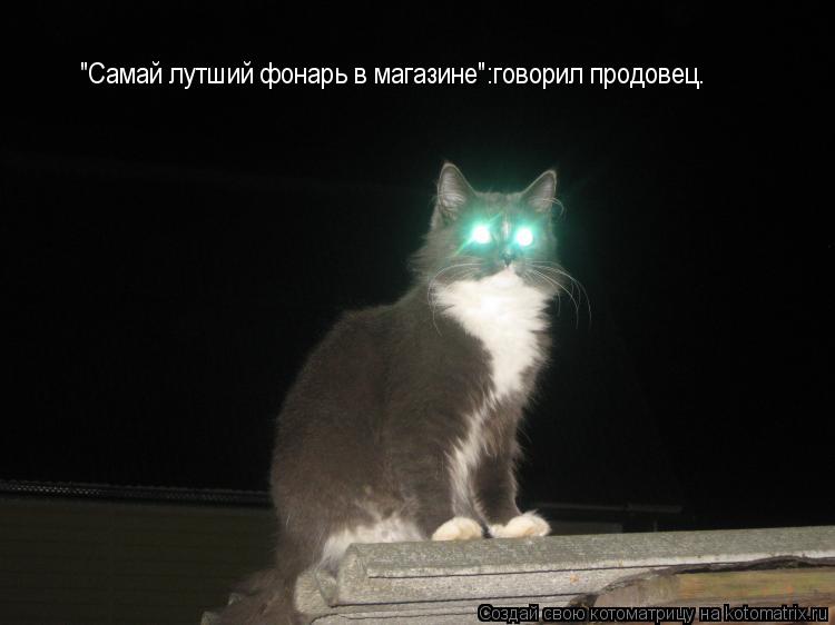 Котоматрица: "Самай лутший фонарь в магазине":говорил продовец.
