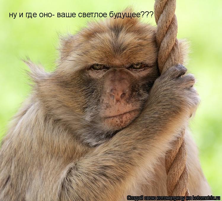 Котоматрица: ну и где оно- ваше светлое будущее???