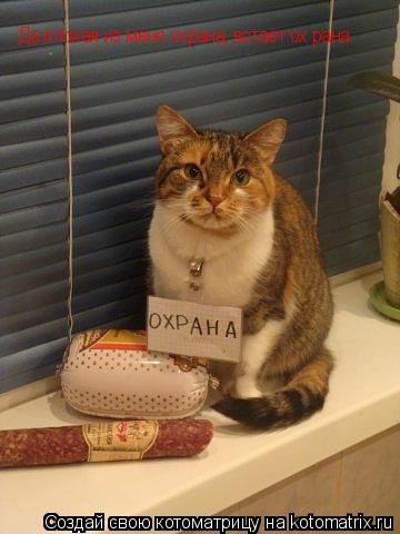 Котоматрица: Да плохая из меня охрана, встаёт ох рана.