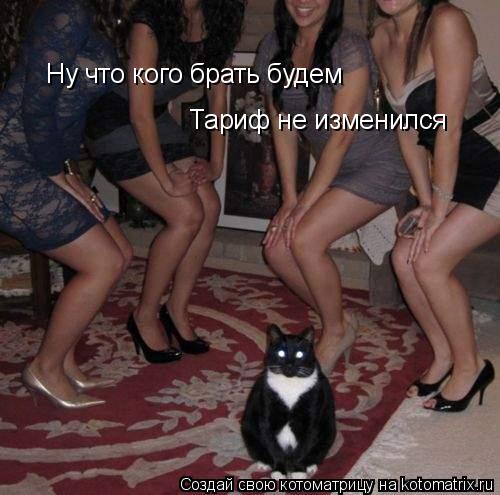 Котоматрица: Ну что кого брать будем Тариф не изменился