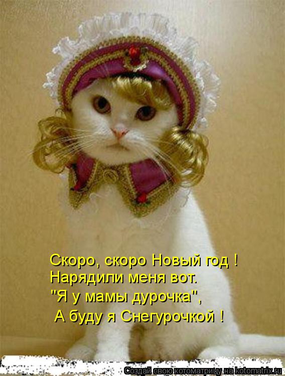 Котоматрица: Скоро, скоро Новый год ! Нарядили меня вот. "Я у мамы дурочка", А буду я Снегурочкой !