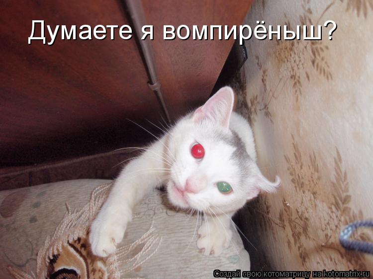 Котоматрица: Думаете я вомпирёныш?