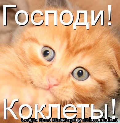 Котоматрица: Господи! Коклеты!