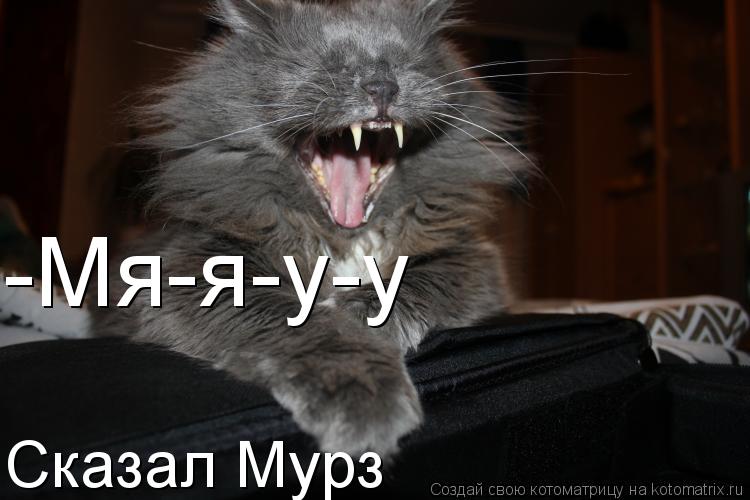 Котоматрица: -Мя-я-у-у Сказал Мурз