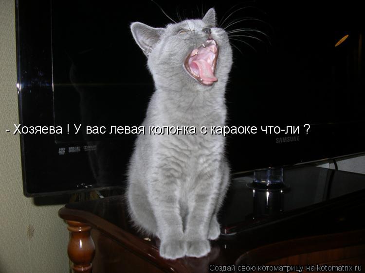 Котоматрица: - Хозяева ! У вас левая колонка с караоке что-ли ?