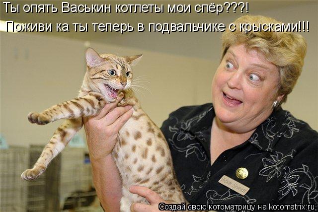 Котоматрица: Ты опять Васькин котлеты мои спёр???!  Ты опять Васькин котлеты мои спёр???!  Поживи ка ты теперь в подвальчике с крысками!!!
