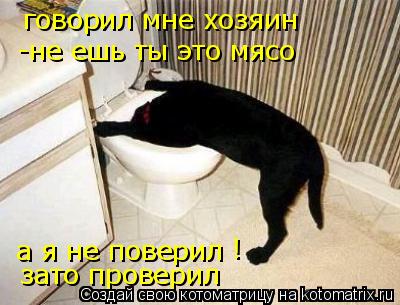 Котоматрица: говорил мне хозяин -не ешь ты это мясо а я не поверил зато проверил !