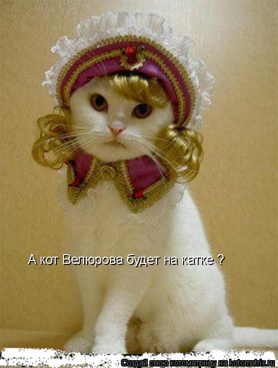 Котоматрица: А кот Велюрова будет на катке ?
