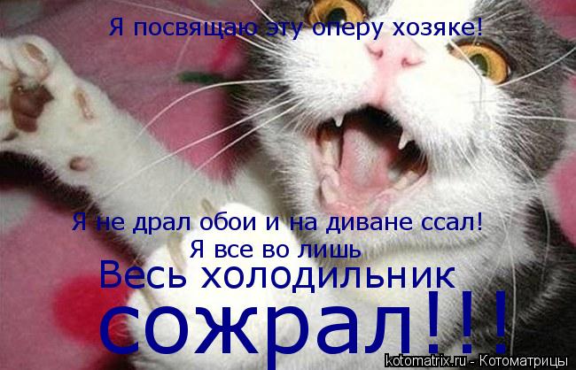 Котоматрица: Я посвящаю эту оперу хозяке! Я не драл обои и на диване ссал! Я все во лишь Весь холодильник сожрал!!!