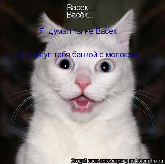 Котоматрица: Васёк... Васёк... Я  думал ты не Васёк И стукнул тебя банкой с молоком...