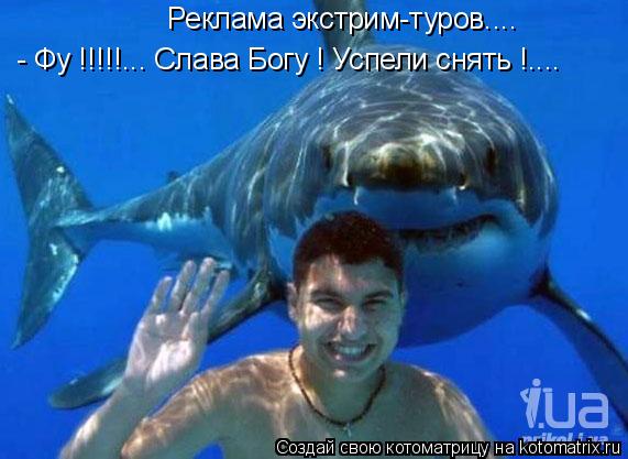 Котоматрица: Реклама экстрим-туров.... - Фу !!!!!... Слава Богу ! Успели снять !....