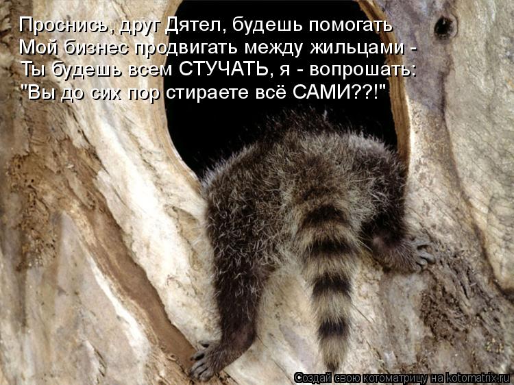Проснись, друг Дятел, будешь помогать Мой бизнес продвигать между жильцами - Ты будешь всем СТУЧАТЬ, ... Котоматрица: Проснись, друг Дятел, будешь помогать Мой бизнес продвигать между жильцами - Ты будешь всем СТУЧАТЬ, я - вопрошать: "Вы до сих пор стираете вс