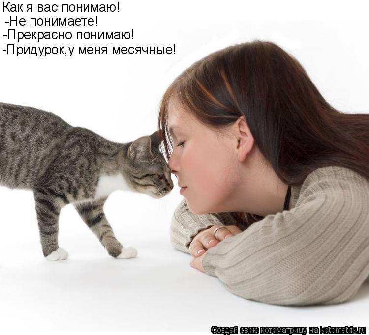 Котоматрица: Как я вас понимаю! -Не понимаете!  -Прекрасно понимаю!  -Придурок,у меня месячные!