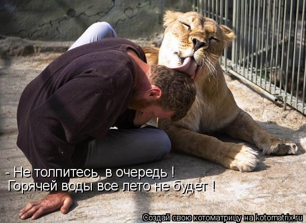 Котоматрица: - Не толпитесь, в очередь ! Горячей воды все лето не будет !