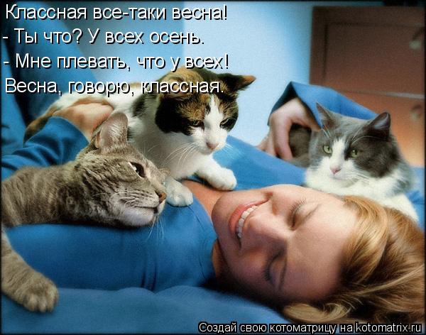 Котоматрица: Классная все-таки весна! - Ты что? У всех осень. - Мне плевать, что у всех! Весна, говорю, классная.