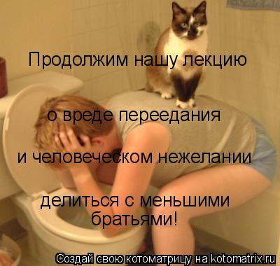 Котоматрица: Продолжим нашу лекцию о вреде переедания и человеческом нежелании делиться с меньшими братьями!
