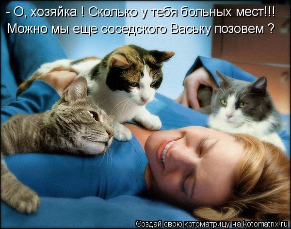 Котоматрица: - О, хозяйка ! Сколько у тебя больных мест!!! Можно мы еще соседского Ваську позовем ?