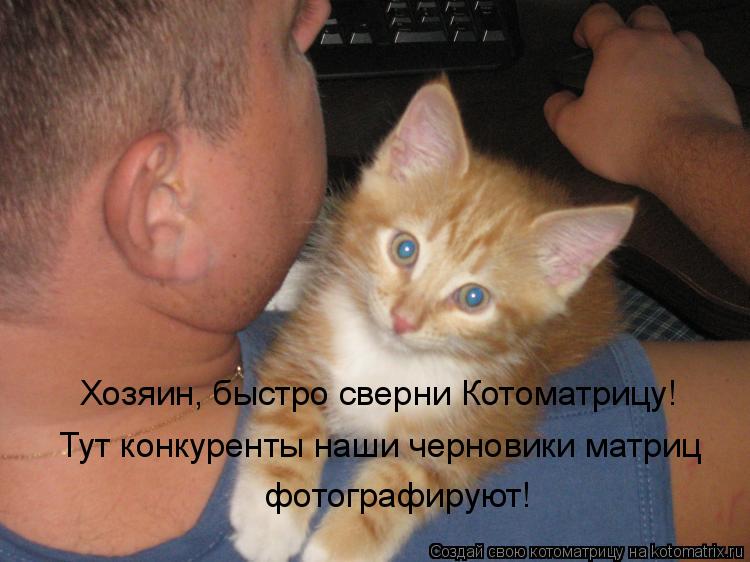Котоматрица: Хозяин, быстро сверни Котоматрицу! Тут конкуренты наши черновики матриц фотографируют!