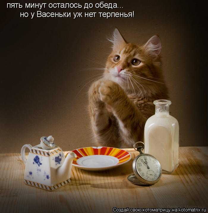 Котоматрица: пять минут осталось до обеда... но у Васеньки уж нет терпенья!