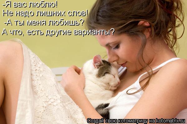 Котоматрица: -Я вас люблю! Не надо лишних слов! -А ты меня любишь? А что, есть другие варианты?