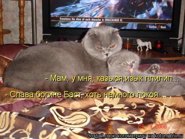 Котоматрица: - Мам, у мня, казыся,изык плилип... - Слава богине Баст, хоть немного покоя...