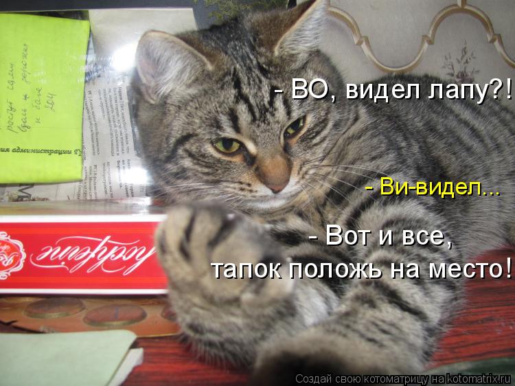 - Ви-видел... - Вот и все, тапок положь на место! - ВО, видел лапу?!... Котоматрица: - Ви-видел... - Вот и все, тапок положь на место! - ВО, видел лапу?!